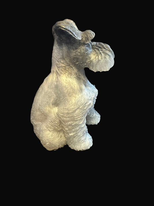 Schnauzer