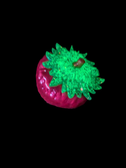 Strawberry Jar