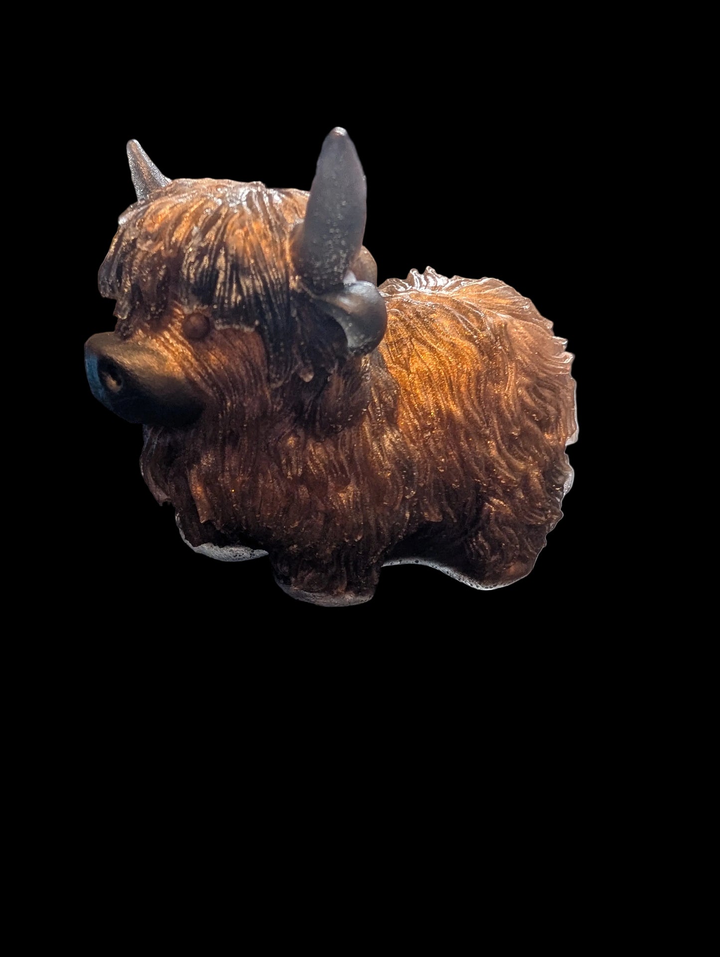 Highland Cow