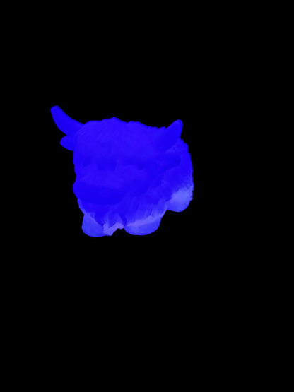 Highland Cow