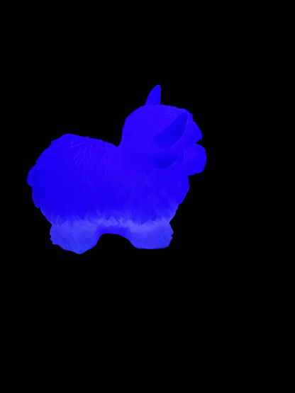 Highland Cow
