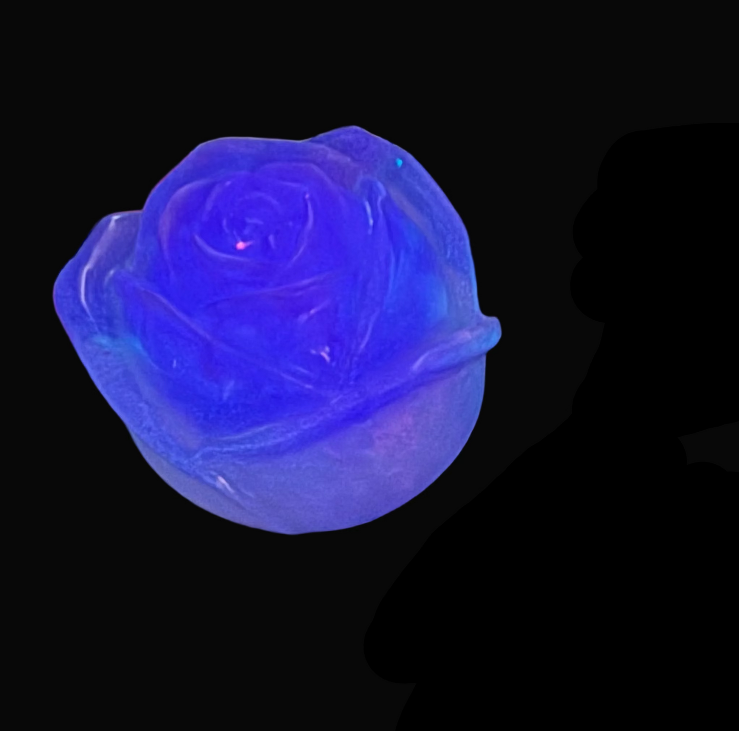 Rose (large)