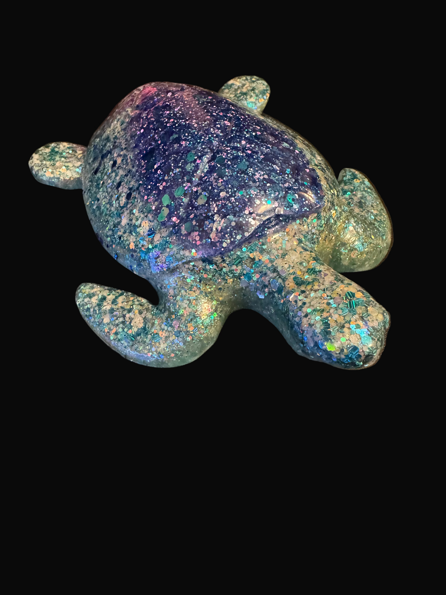 Turtle (full size)