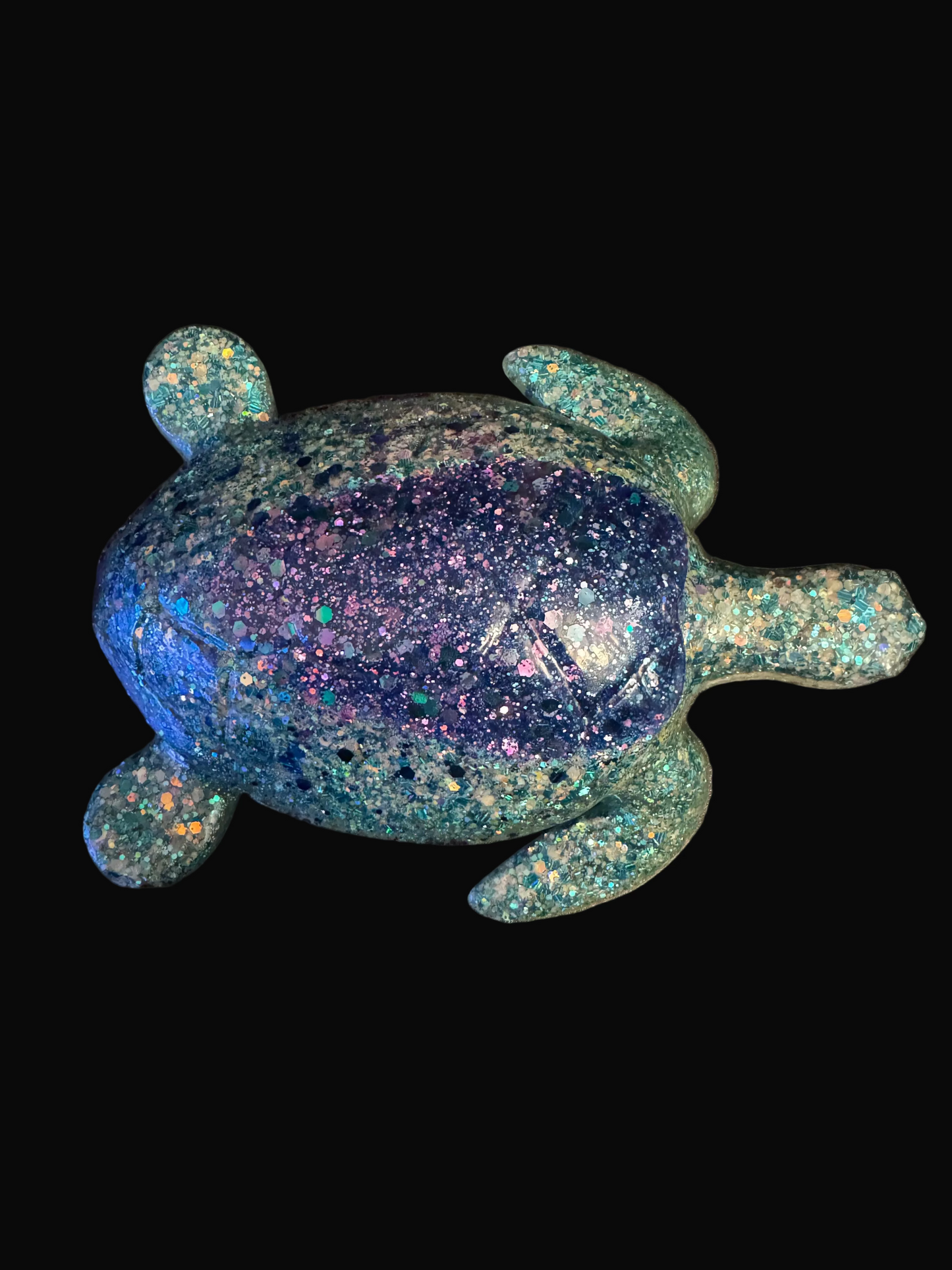 Turtle (full size)