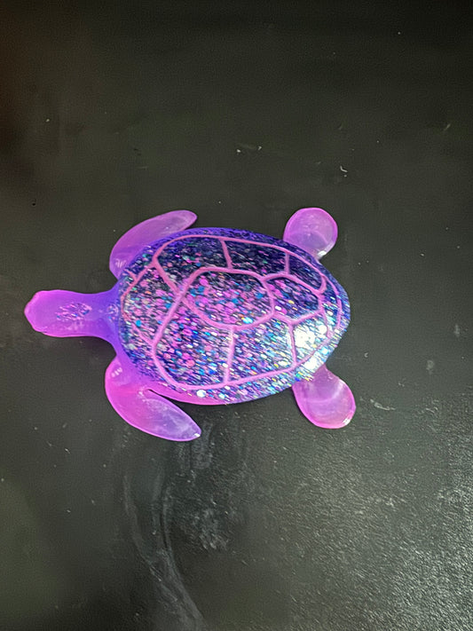 Turtle (full size)
