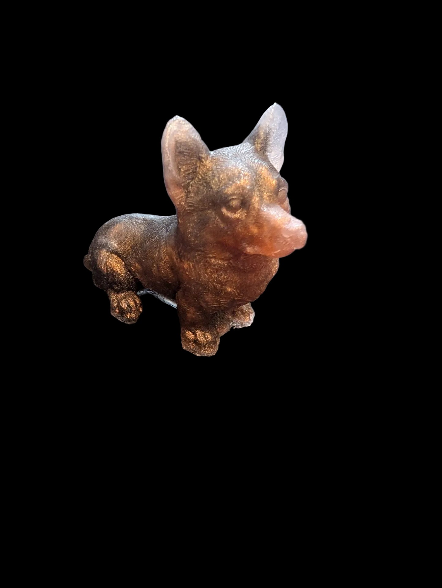 Corgi