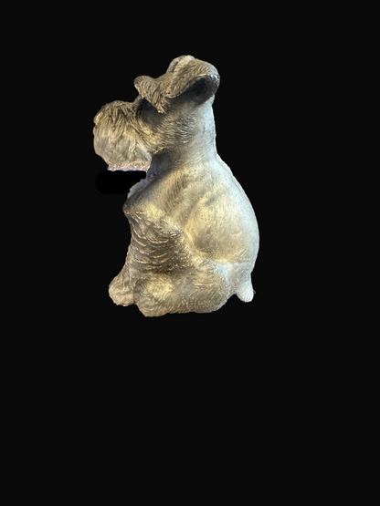 Schnauzer