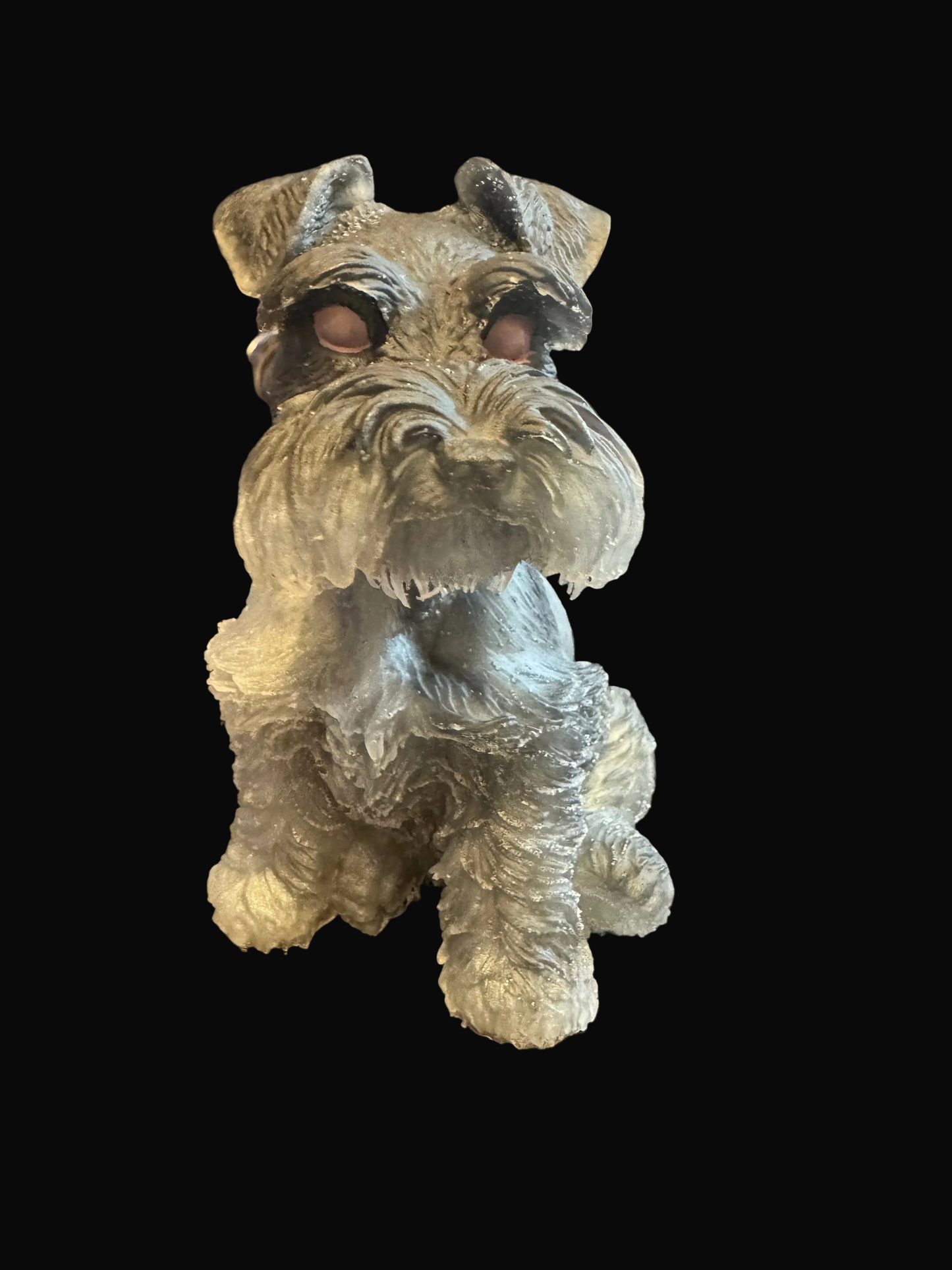 Schnauzer