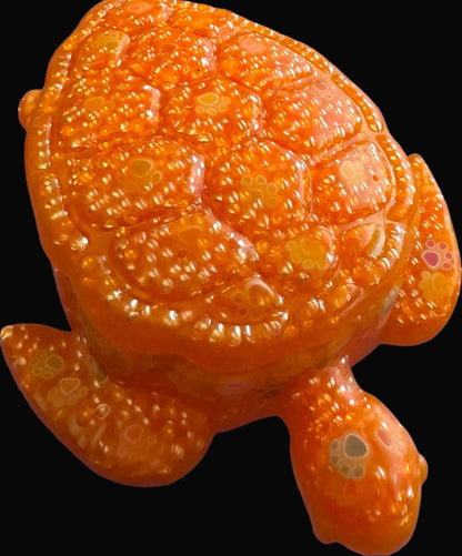 Turtle Box
