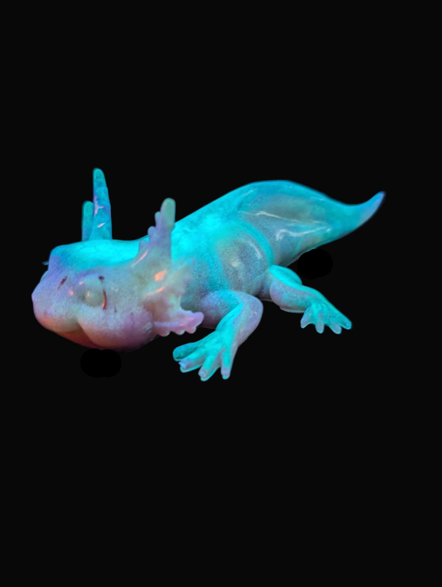 Axolotl