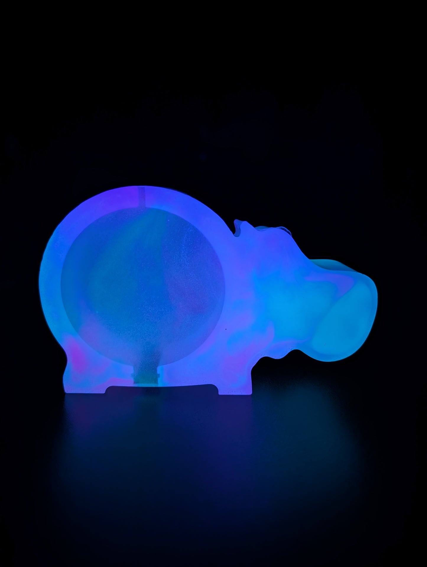 Hippo Coin Bank