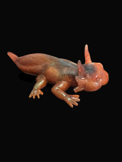 Axolotl