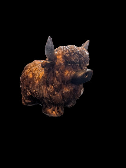Highland Cow