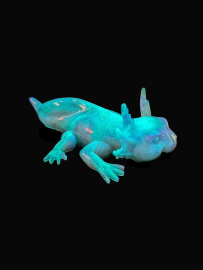 Axolotl