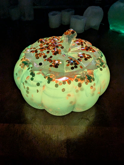 Mini Pumpkin #1