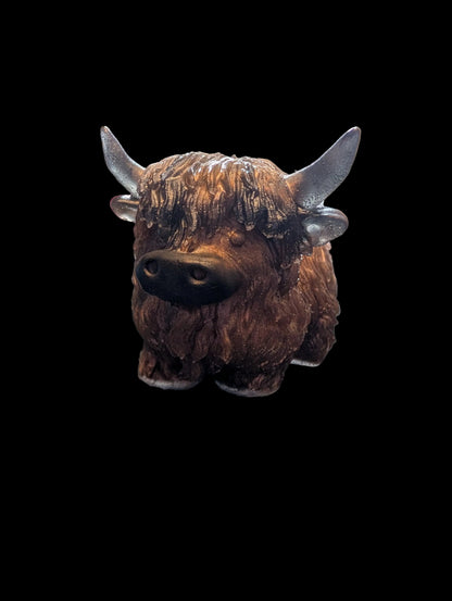 Highland Cow