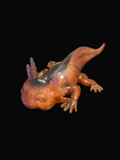 Axolotl