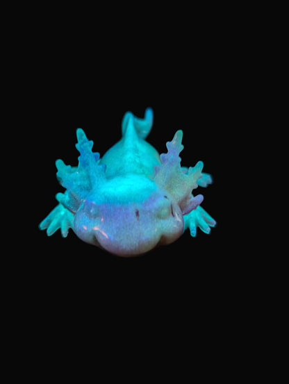 Axolotl